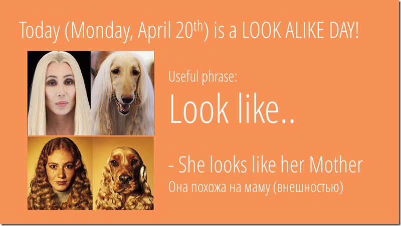 look like meaning english example