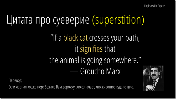 Black cat