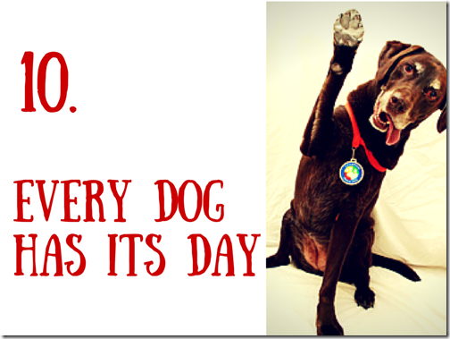 10 every day has its day