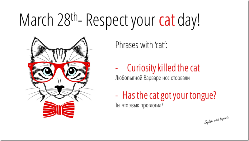 phrases with cat