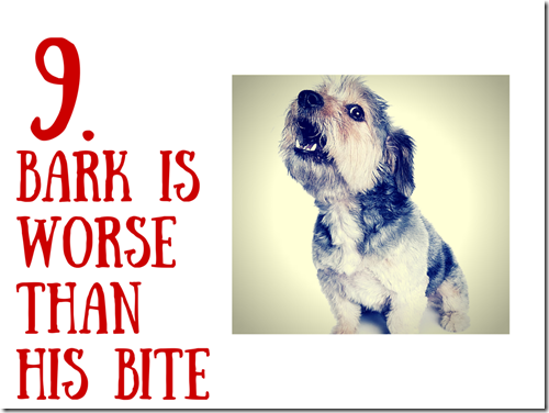 9. bark is worse than his bite FINAL