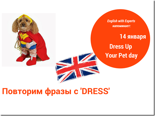 Dress up phrases idioms dress up your pet