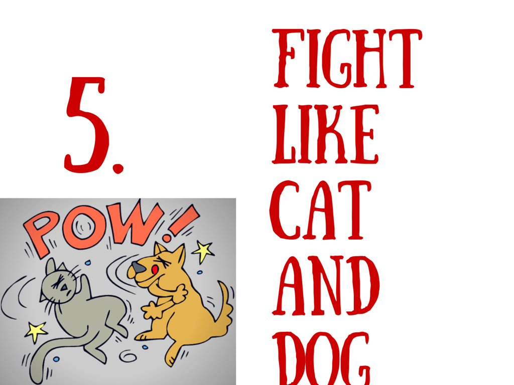 Like Cat and Dog идиома. Fight like Cat and Dog. Fight like Cats and Dogs idiom. Предлог к a Dog and a Cat. I can like cat